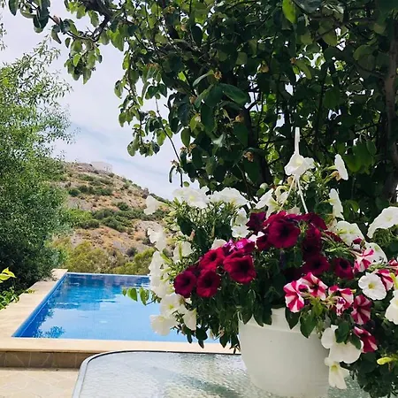 Amazing Private In The Heart Of Yalikavak ヴィラ Demircili (Bodrum)